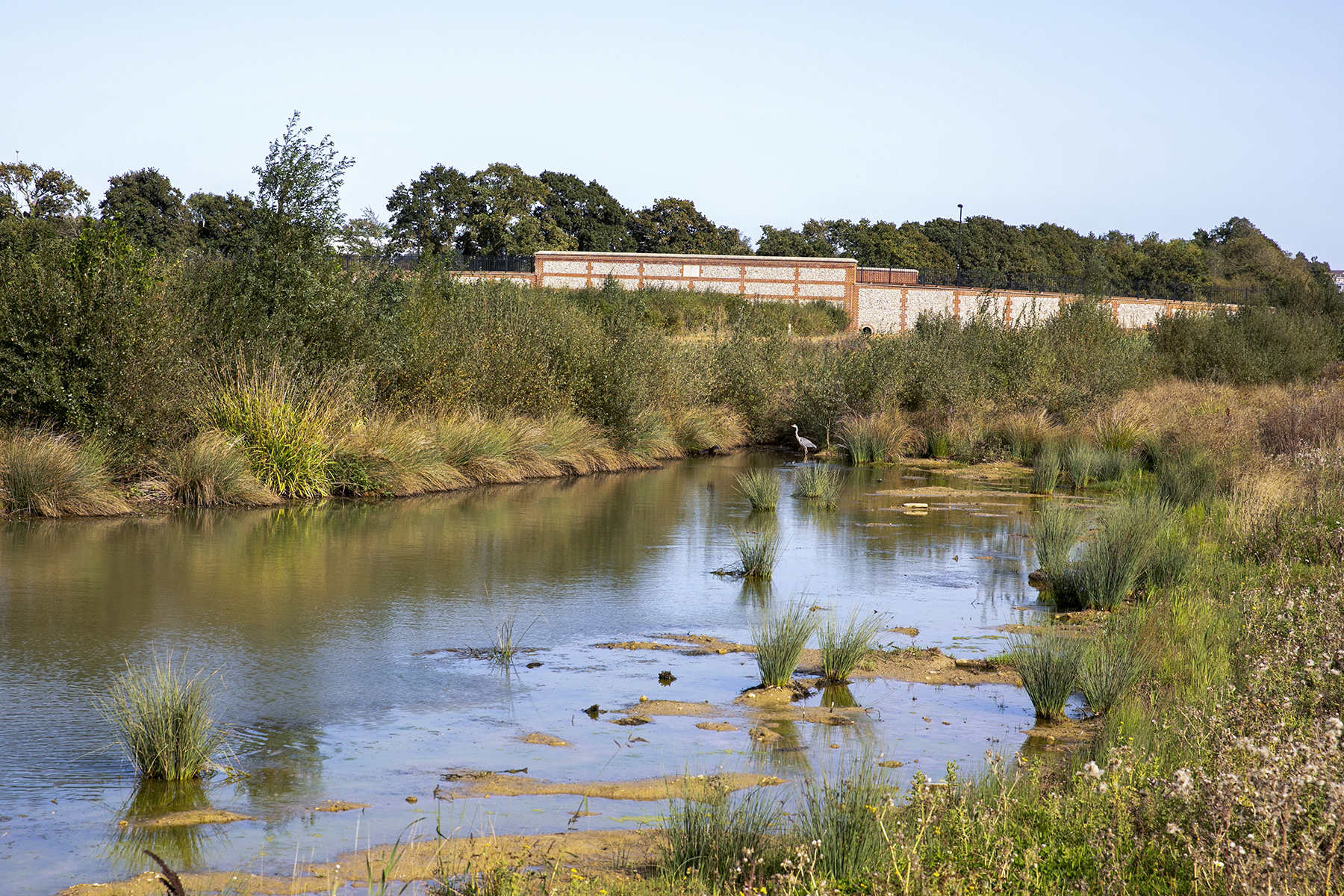 River Wallington Berewood