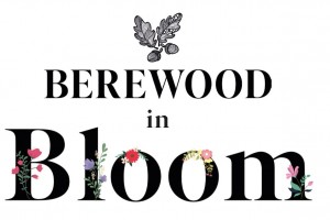 Berewood in Bloom