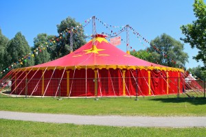 Happy's Circus comes to Berewood