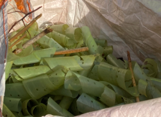 SC CH 120226 1 SC CH 120226 1